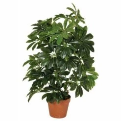 Plantawa Plante Artificielle Taille Petite Cheflera Asiatique Élément Décoratif D'Intérieur Ou Extérieur En Plastique 65cm